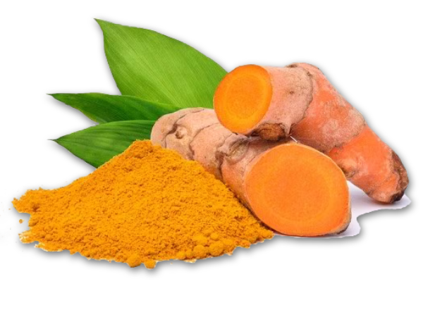 kunyit